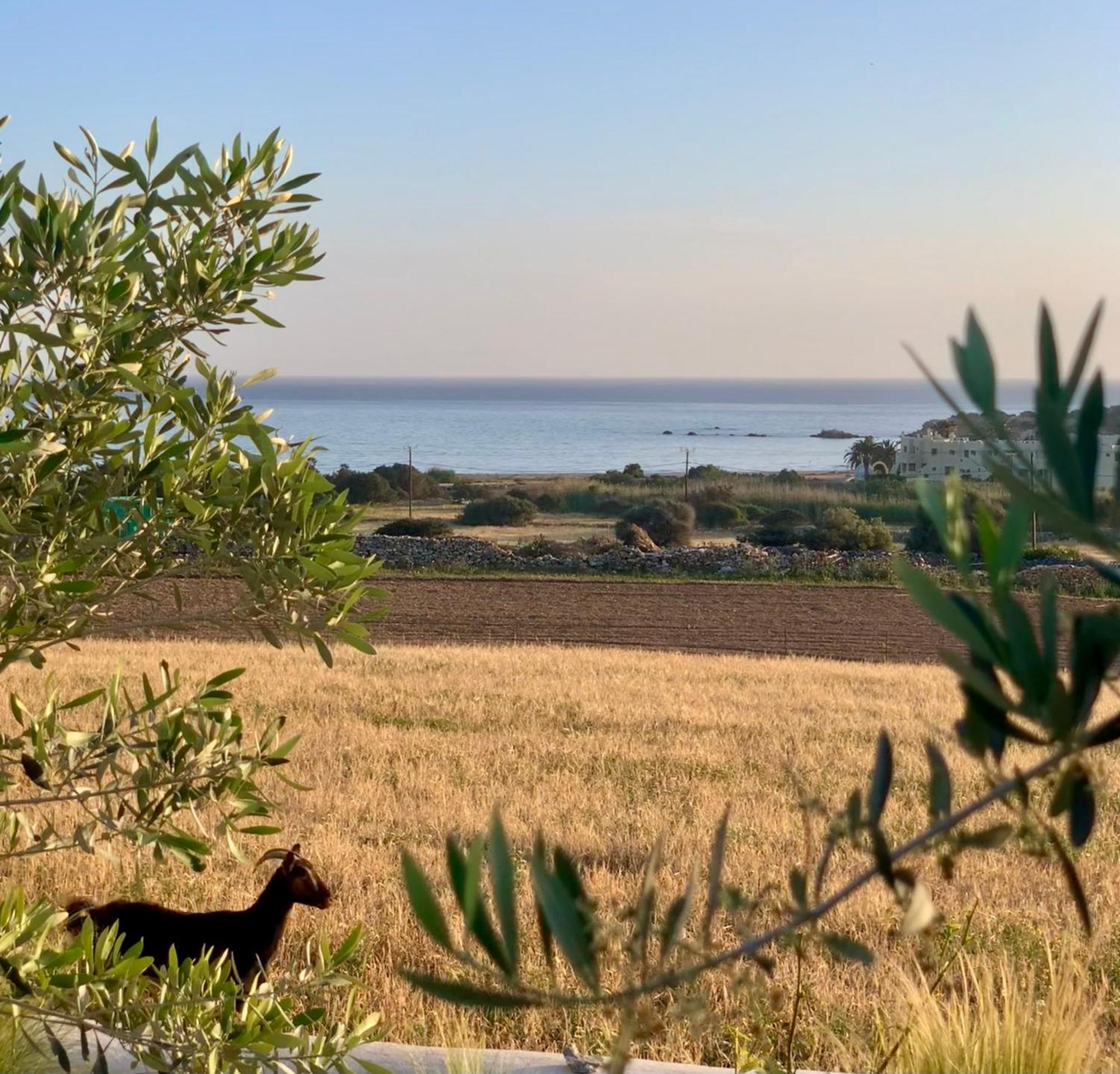 Marikos House, Pyrgaki Alyko Naxos * Aliko Beach